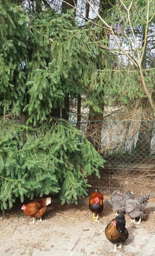 Ferienpark Tannenbruchsee Neustadt am Rübenberge Εξωτερικό φωτογραφία